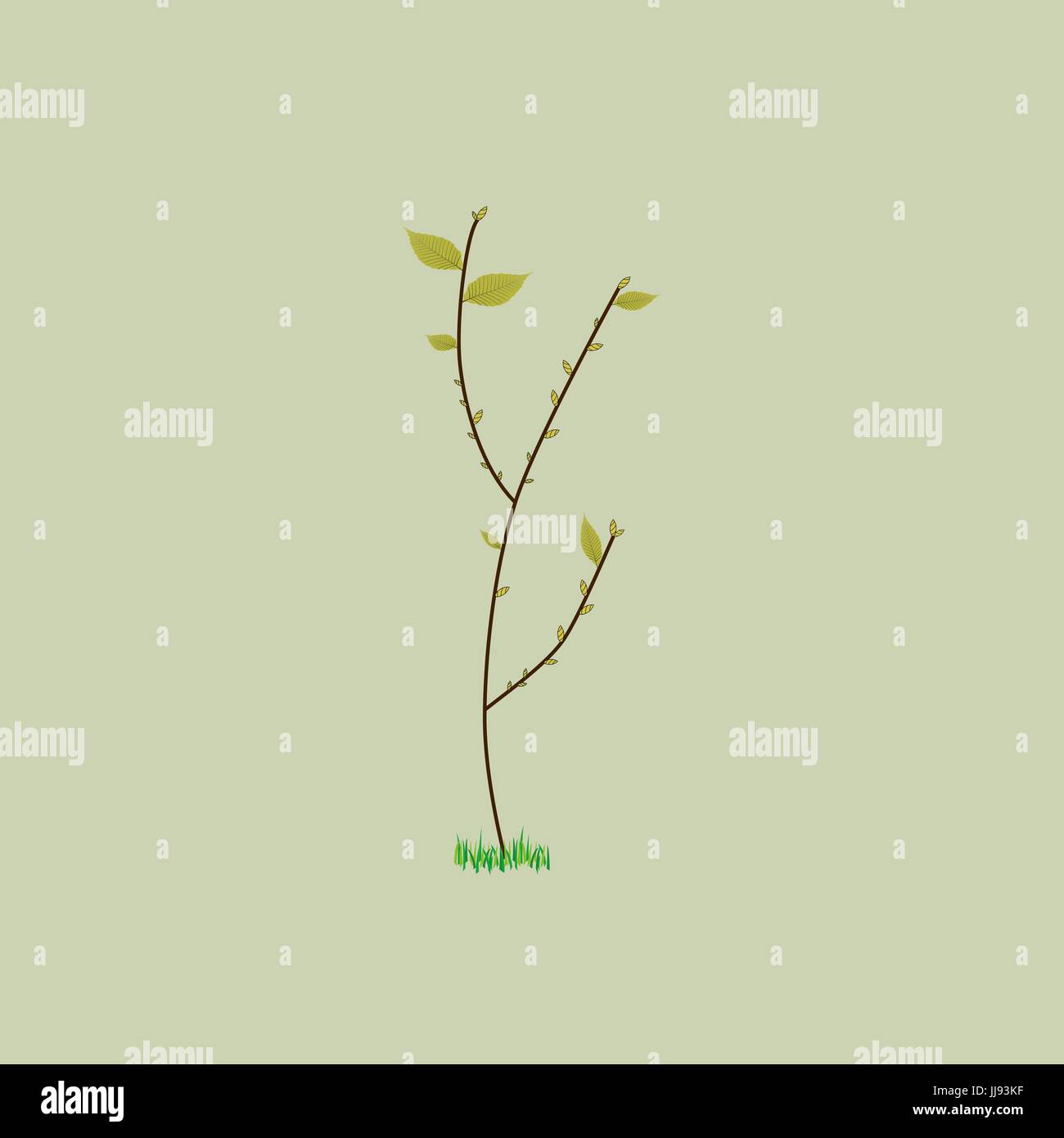 Branche avec les feuilles et les reins, style plat, isolé Illustration de Vecteur