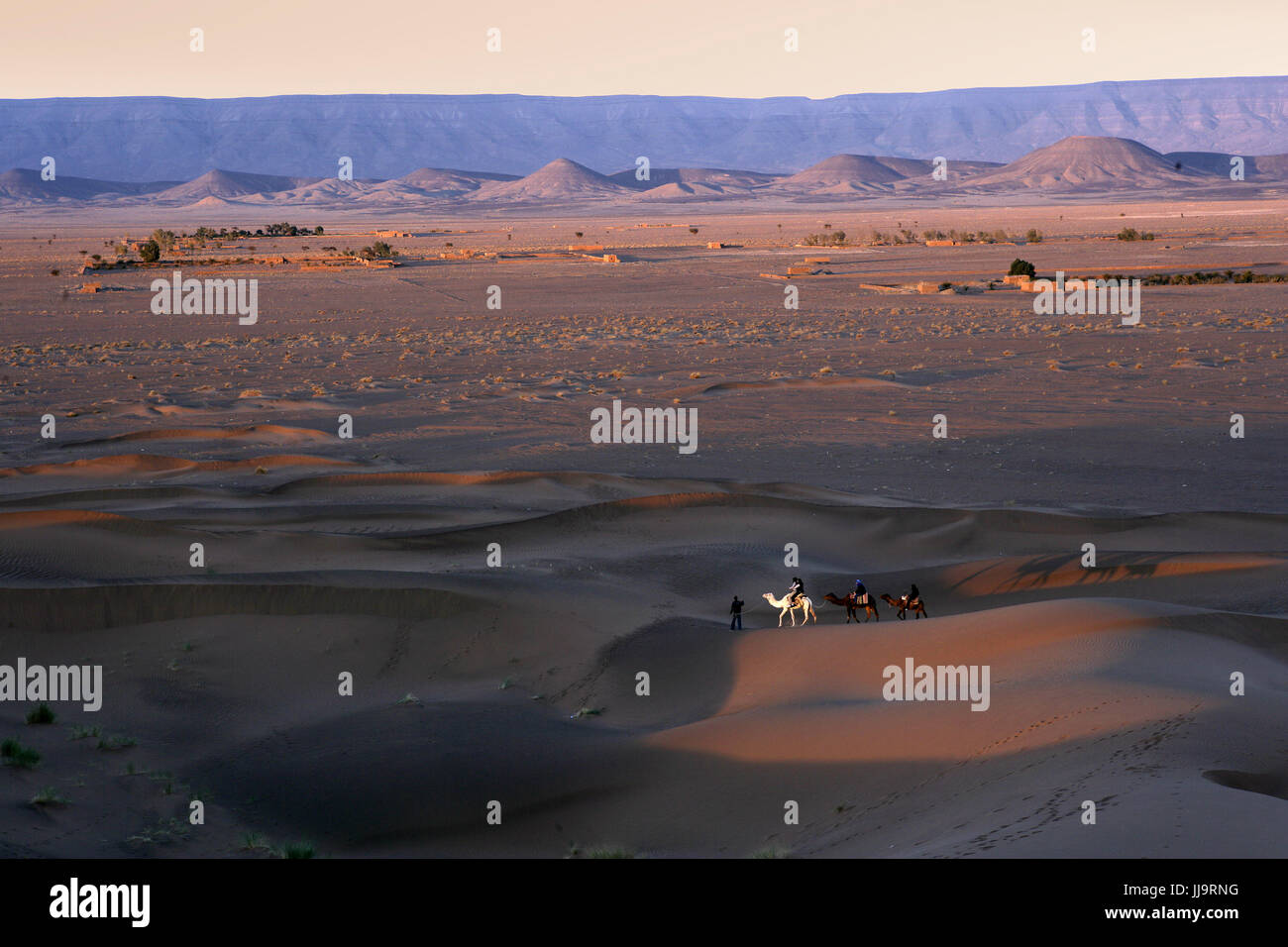 Erg Chebbi dunes au lever du soleil, désert du Sahara, près de Merzouga, Maroc, Afrique du Nord Banque D'Images