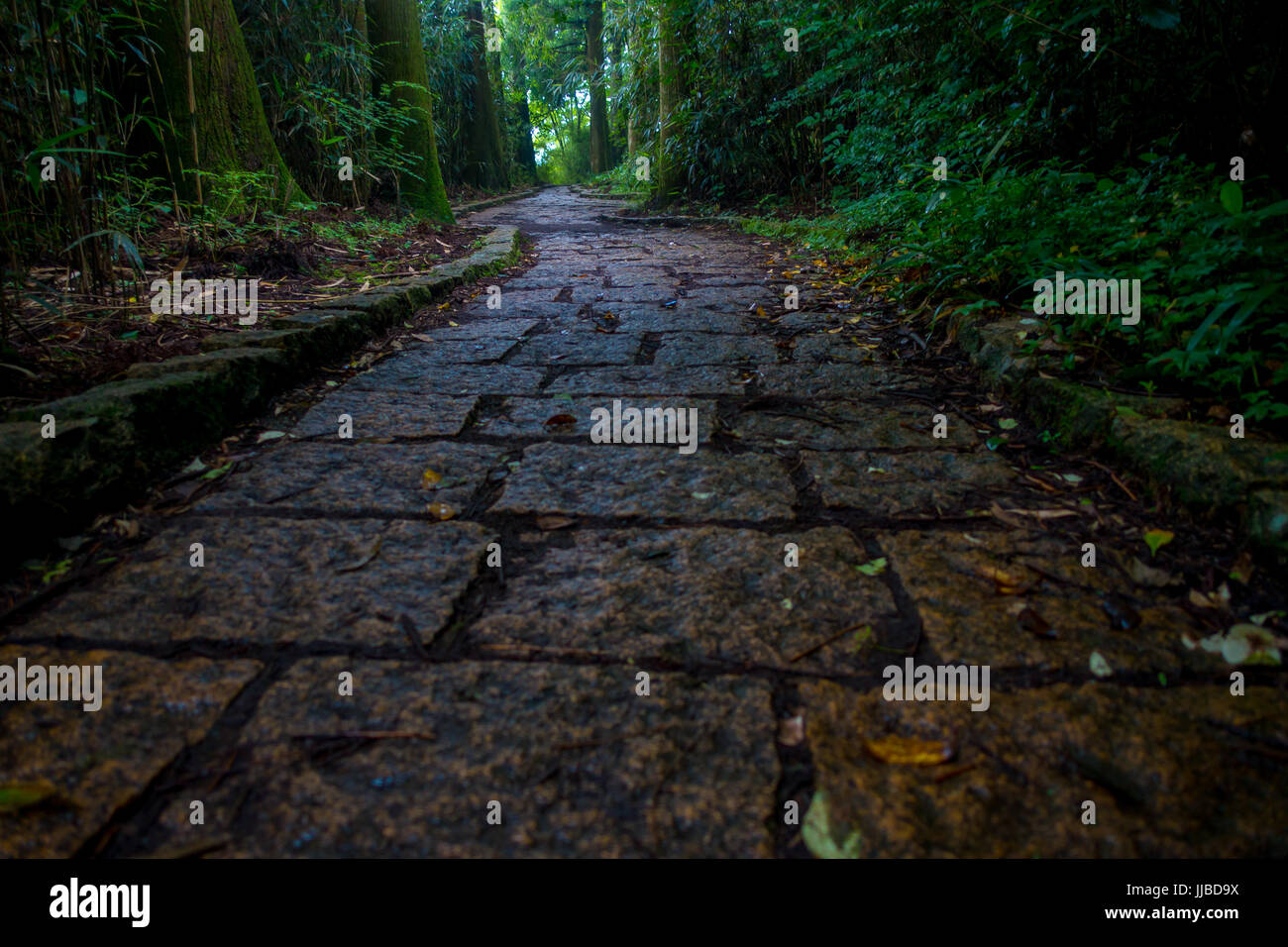 Une entrée de pierres d'Hakone shrine, dans la forêt au Japon. Banque D'Images