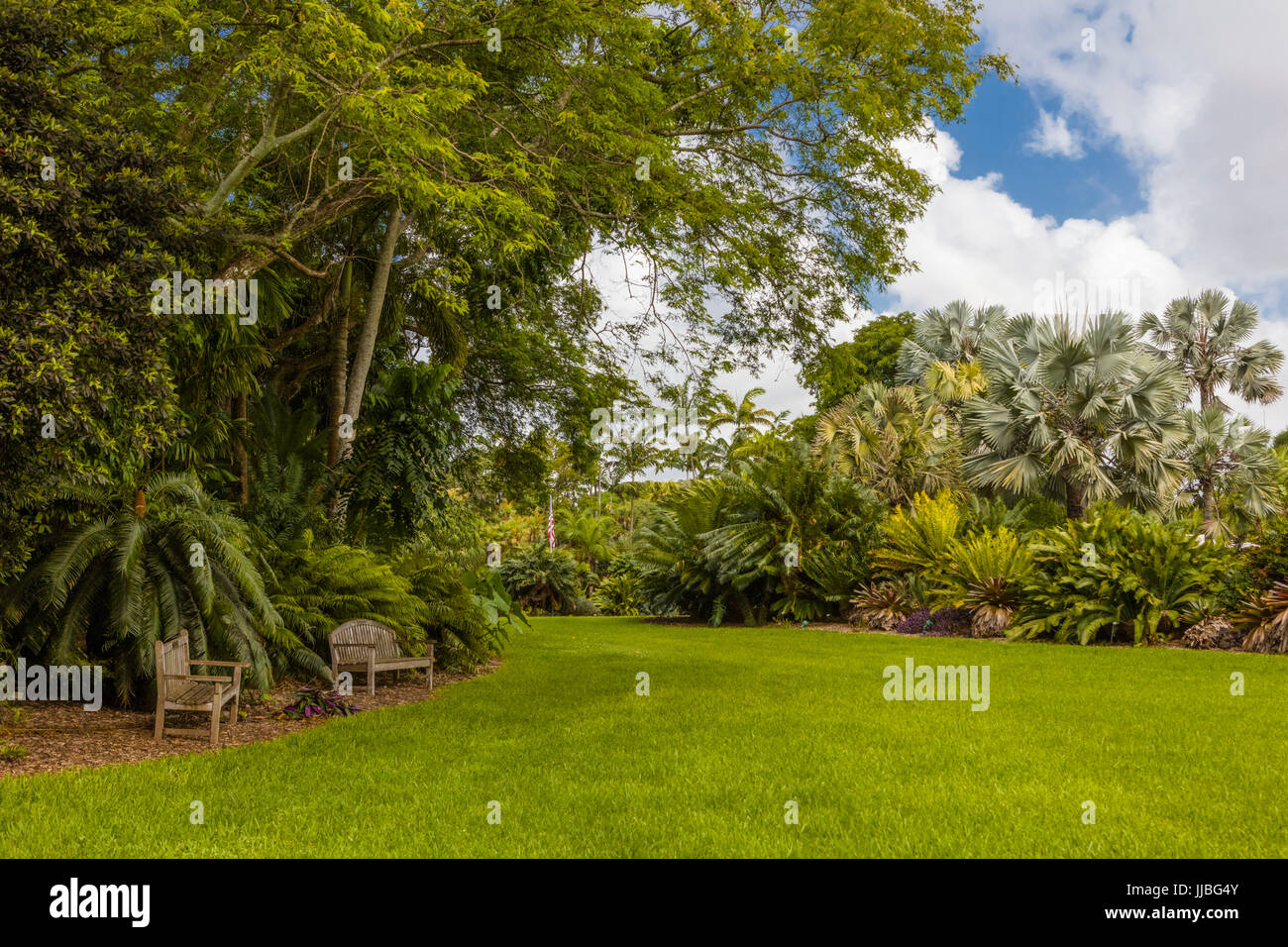 Fairchild Tropical Botanic Garden un jardin botanique tropical de 83 acres à Coral Gables en Floride Banque D'Images