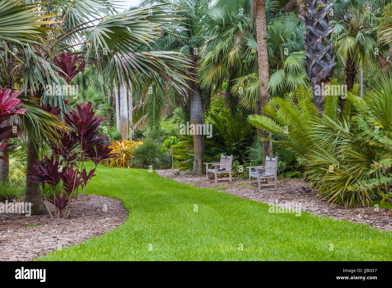 Fairchild Tropical Botanic Garden un jardin botanique tropical de 83 acres à Coral Gables en Floride Banque D'Images