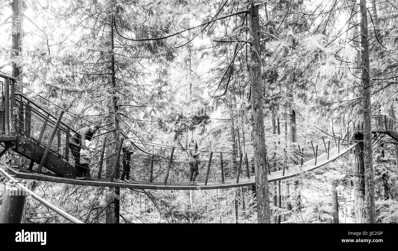 Sentiers dans le parc Capilano pour explorer la nature - CAPILANO - Canada - 12 AVRIL 2017 Banque D'Images