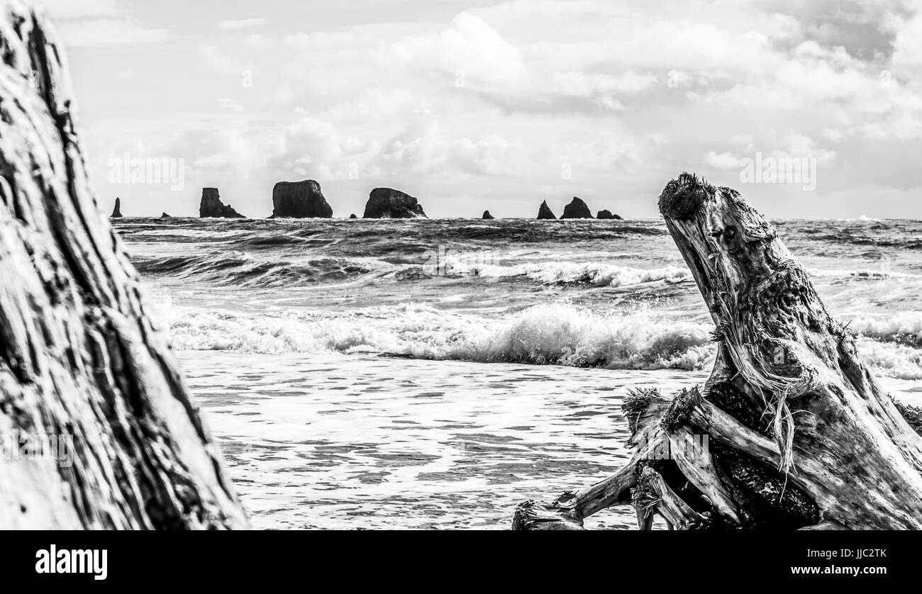 Belle plage de la Push Banque D'Images