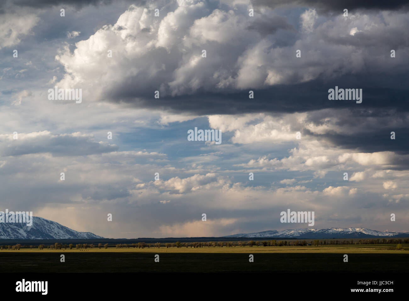 De grands nuages de tempête passant au-dessus de la vallée de Jackson Hole et un petit troupeau de bisons. Parc National de Grand Teton, Wyoming Banque D'Images