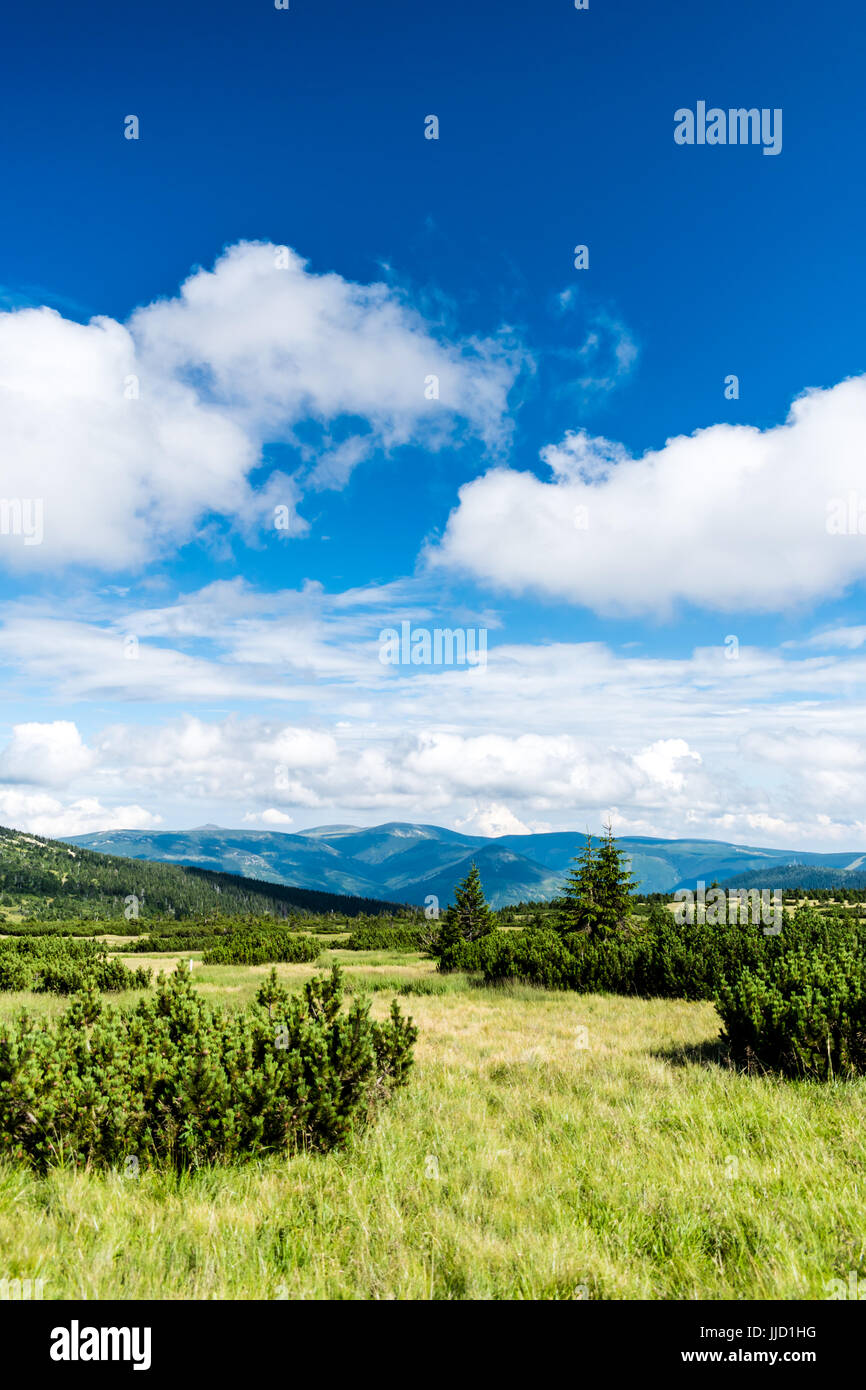 Voir le Parc National de Krkonose (Monts des Géants) à partir de la zone autour de Labska Louka. Banque D'Images