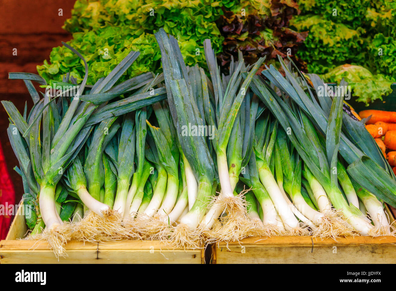 Plante De Poireau Banque D Image Et Photos Alamy