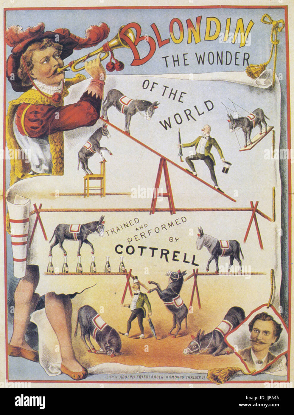 BLONDIN la mule Wonder Circus poster sur 1880 avec un mulet nommé d'après Charles Blondin Banque D'Images