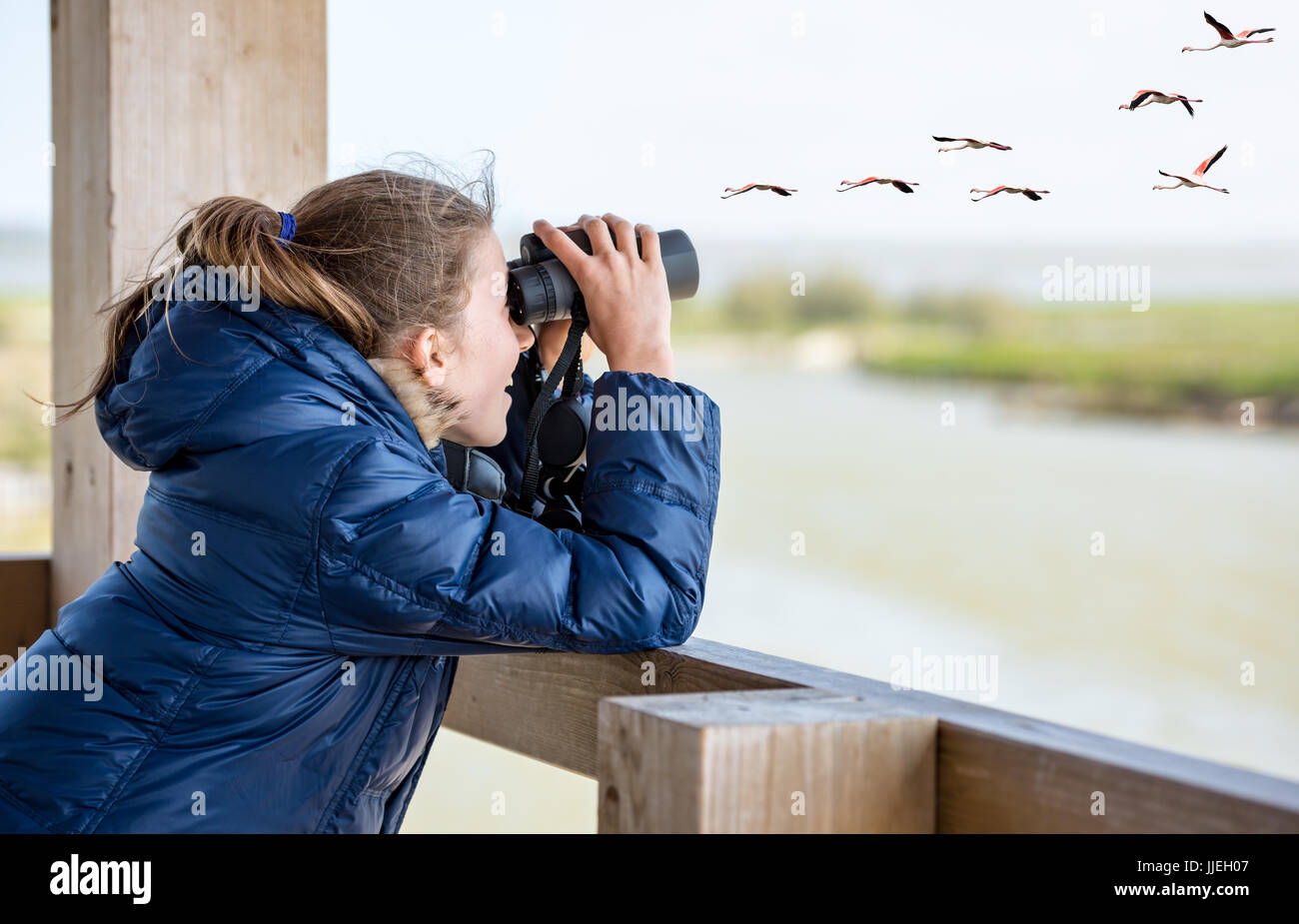Jeune fille l'observation des oiseaux Banque D'Images