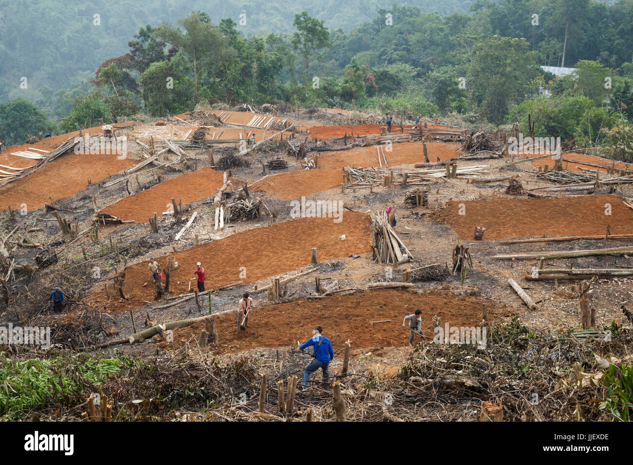 Les villageois construire des plates-formes pour leurs maisons à un site de réinstallation au-dessus de l'homme Interdiction Kor Mai, le Laos. Le village va être inondé par le barrage de la rivière Nam Ou # 6 et le gouvernement a fourni près de réinstallation Hat sa ne sera pas achevée à temps. Banque D'Images