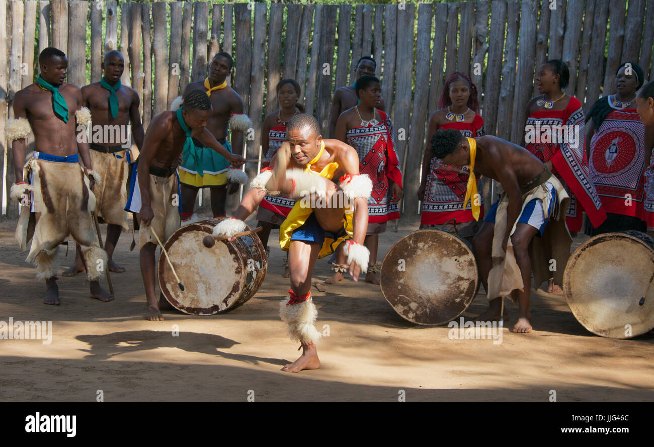 L'homme Tribal kick de la scène dance au rythme de tambours Mantenga Cultural Village Swaziland Afrique du Sud Banque D'Images