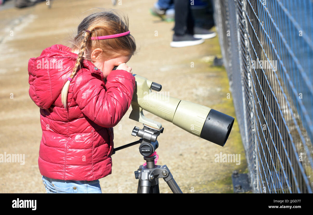 Jeune fille regarde à travers longue vue à la lumière de l'Ouest, Centre d'oiseaux de l'île de Rathlin, co Antrim, en Irlande du Nord. Banque D'Images