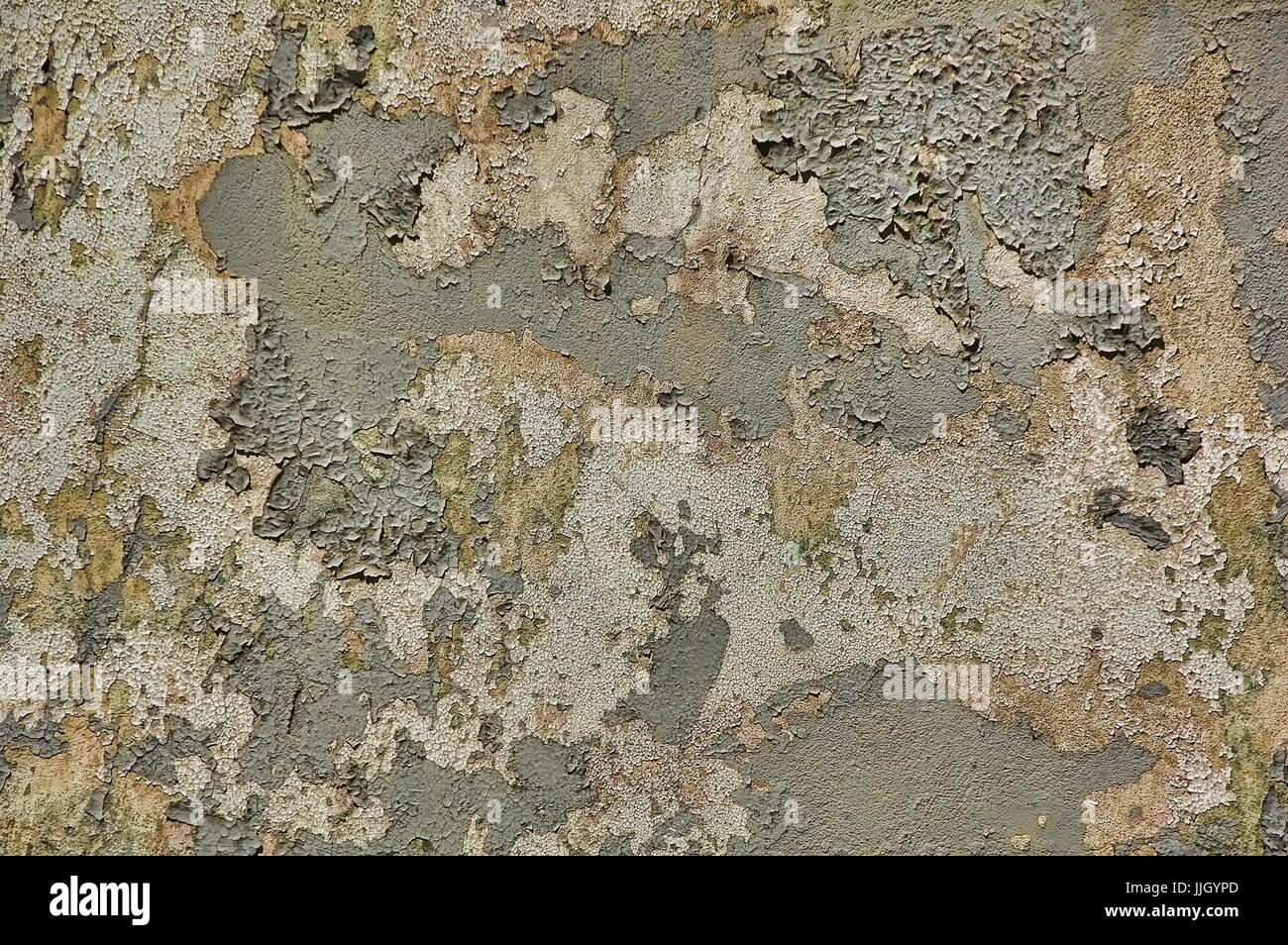 Lépluchage Des Cloques De Peinture Sur Stuc En Décomposition Avec