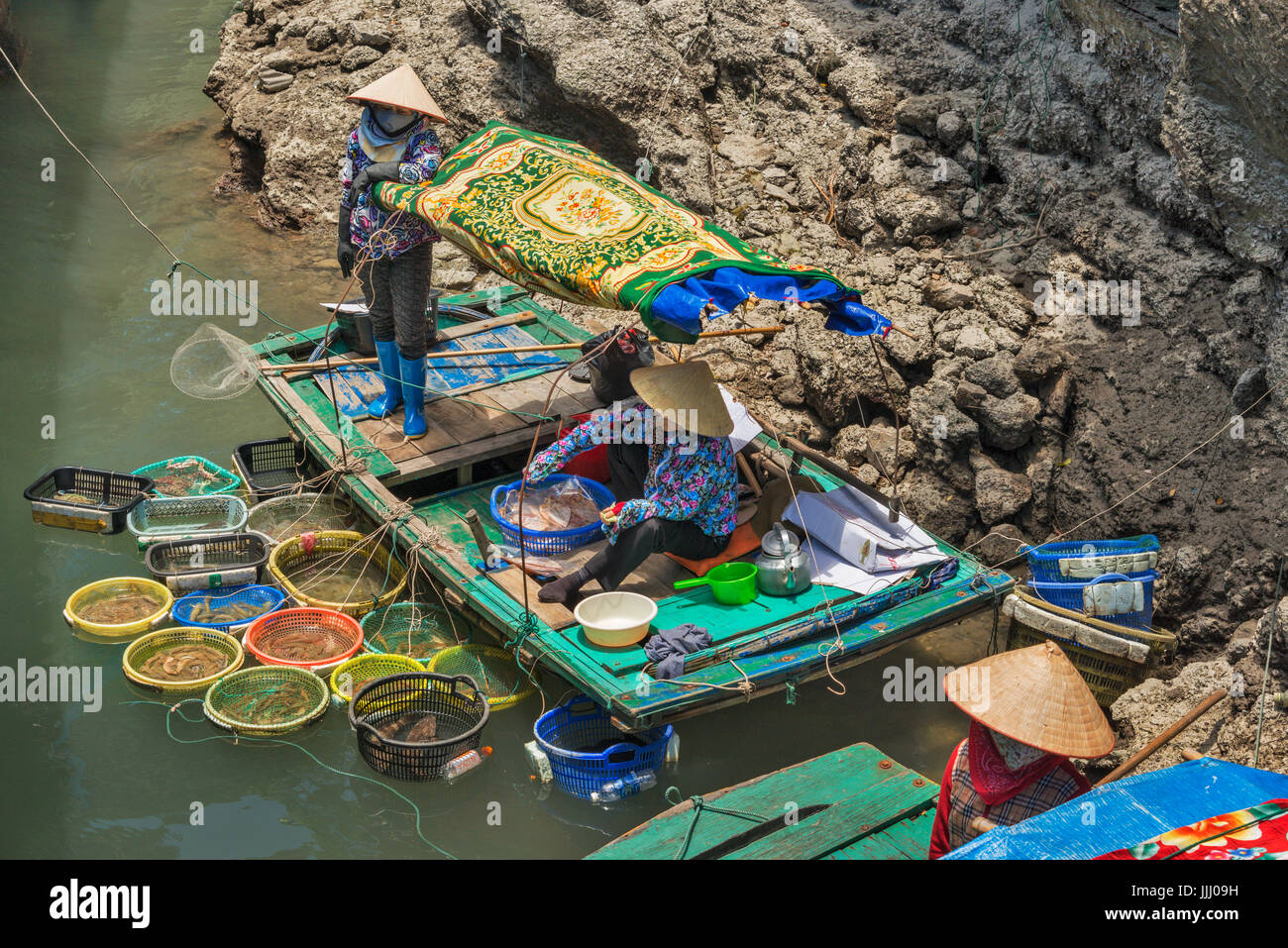 Les pêcheurs de la baie de Halong Vietnam Banque D'Images