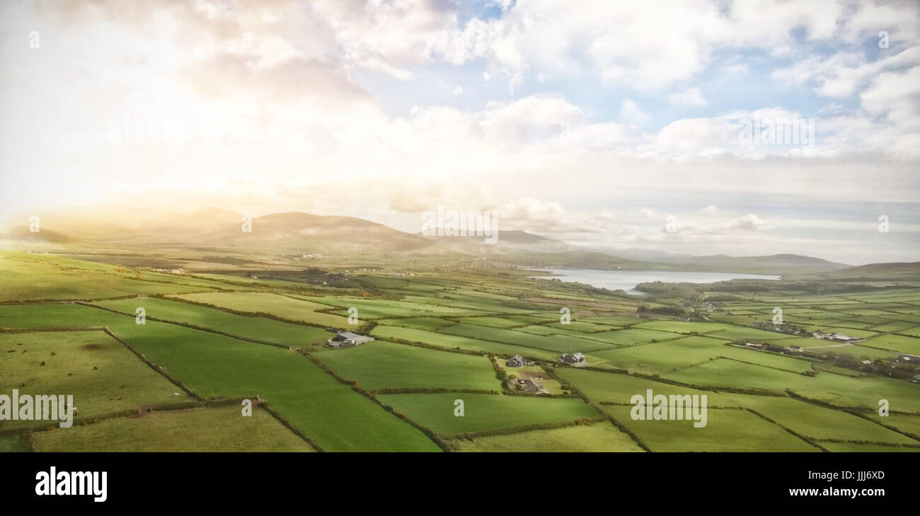 Vue aérienne de vert paysage agricole Banque D'Images