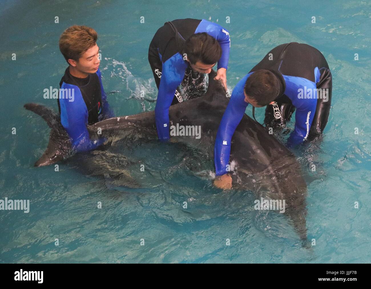 Zhuhai, la province chinoise du Guangdong. 20 juillet, 2017. Les sauveteurs font de la préparation de la publication de la "Dauphins à dents dures Jiang Jiang' dans une piscine à Zhuhai, Province du Guangdong en Chine du sud, le 20 juillet 2017. La police a reçu des rapports sur un dauphin d'être échoué sur la côte de la baie de la ville de Jiangmen Heisha le 3 mai, et a appelé l'estuaire de la Rivière Pearl White Dolphin Chinois Réserve naturelle nationale de l'aide. Après plus de deux mois de traitement, le dauphin 'Jiang Jiang' a récupéré et a été libéré jeudi. Credit : Liu Dawei/Xinhua/Alamy Live News Banque D'Images