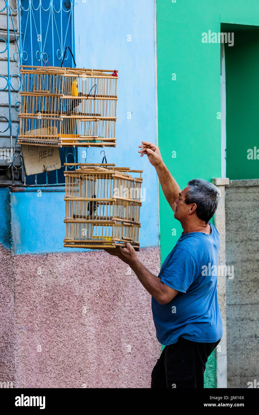 Un homme cubain se bloque ses cages d'oiseaux à l'extérieur de sa maison - Trinidad, Cuba Banque D'Images