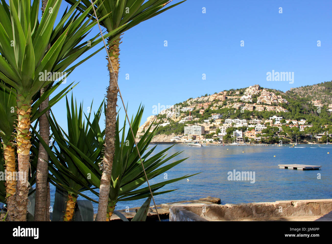 Baléares, Majorque, Port d'Andratx Banque D'Images