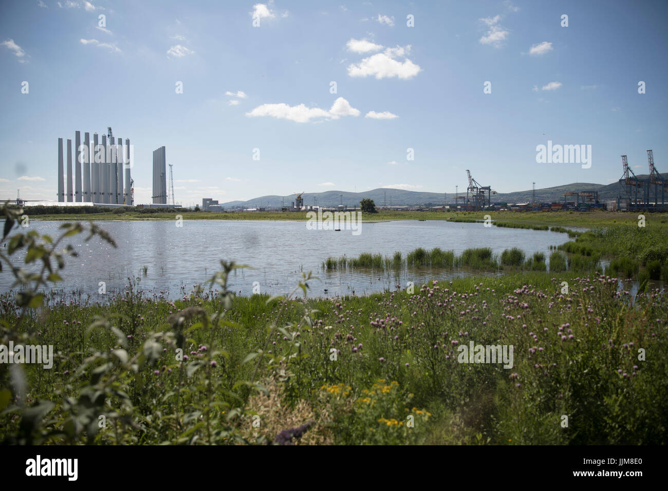 Fenêtre de Belfast sur la faune, la réserve naturelle RSPB à Belfast Banque D'Images