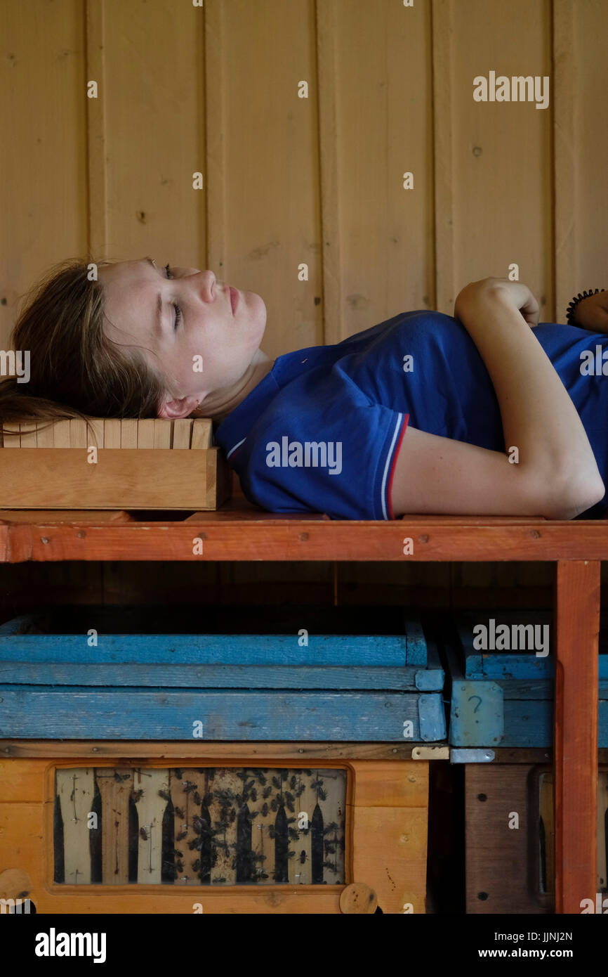 Une jeune sibérienne qui s'étend sur une pile de Langstroth en bois avec des abeilles actives dans une cabane Bee Therapy dans la région montagneuse de SEZ TRT 'Biruzovaya Katun' située dans la région d'Altai Krai, dans l'ouest de la Sibérie, en Russie. L'air de ruche est très ionisé et propre, ce qui a été montré pour bénéficier les poumons et le système respiratoire ainsi que d'avoir un effet calmant sur l'esprit. Banque D'Images