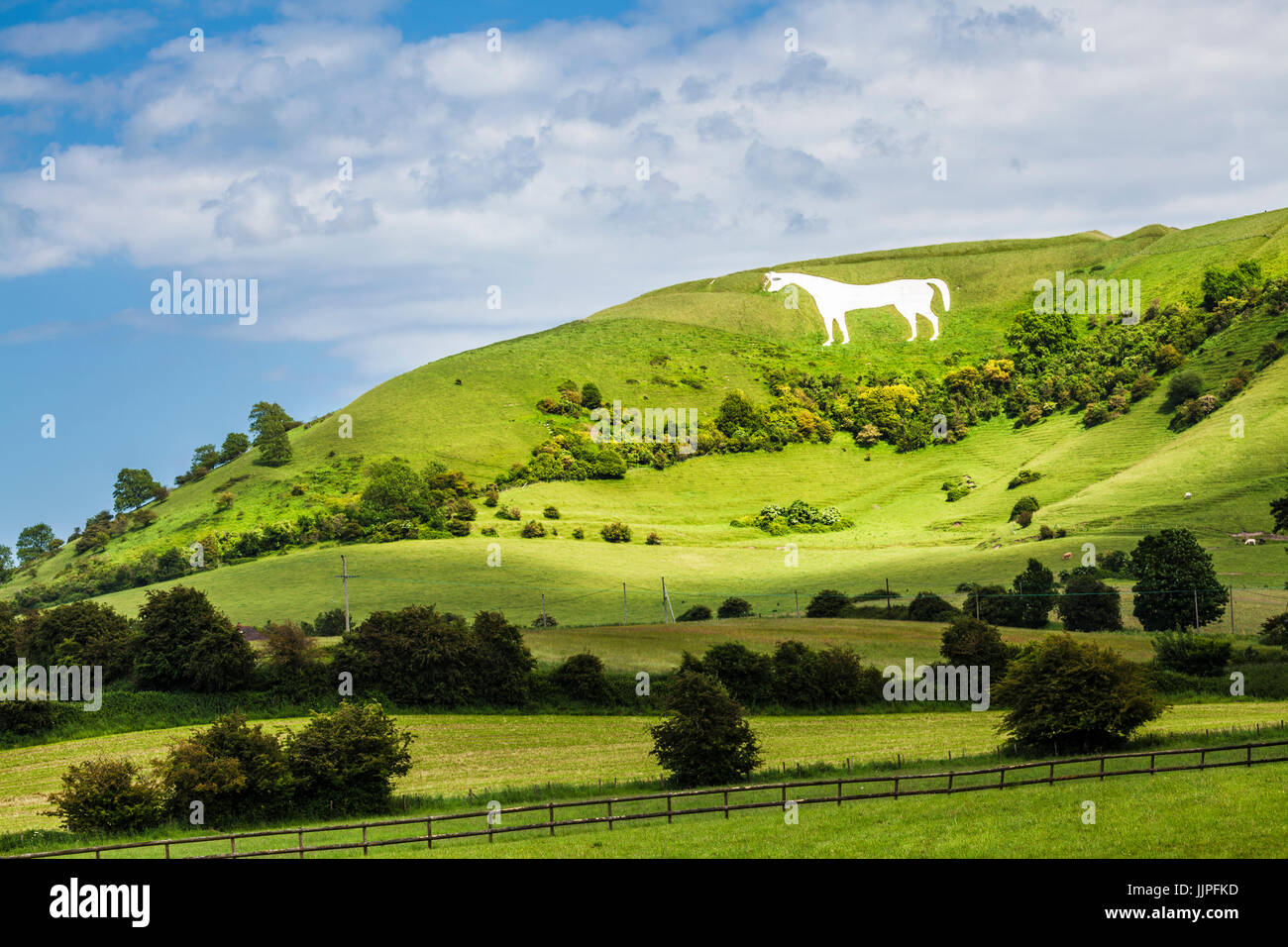 Le Cheval Blanc ci-dessous Bratton Camp près de Westbury dans le Wiltshire. Banque D'Images