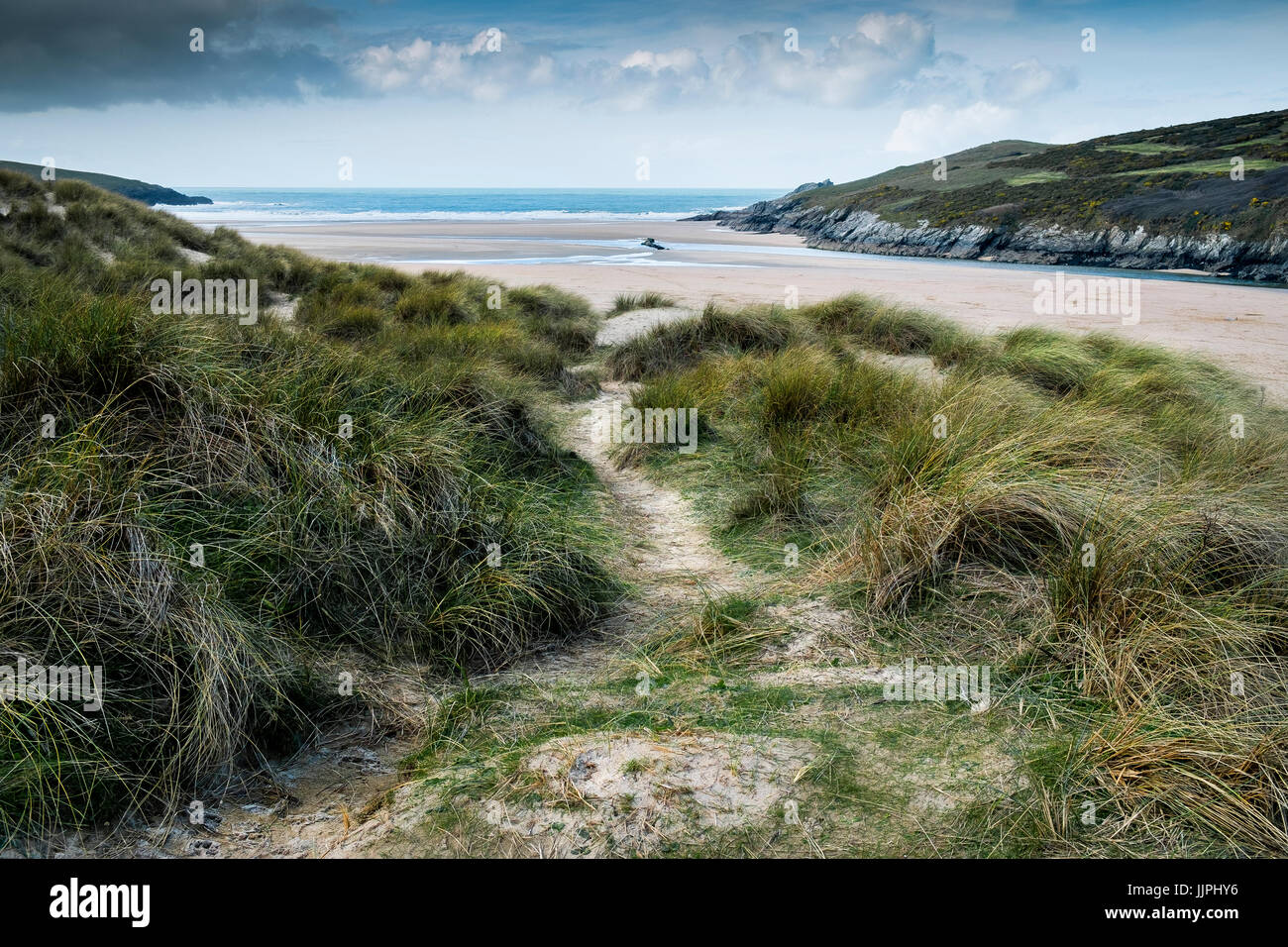 L'ammophile croissant sur les dunes de sable donnant sur plage de Crantock à Newquay. Banque D'Images