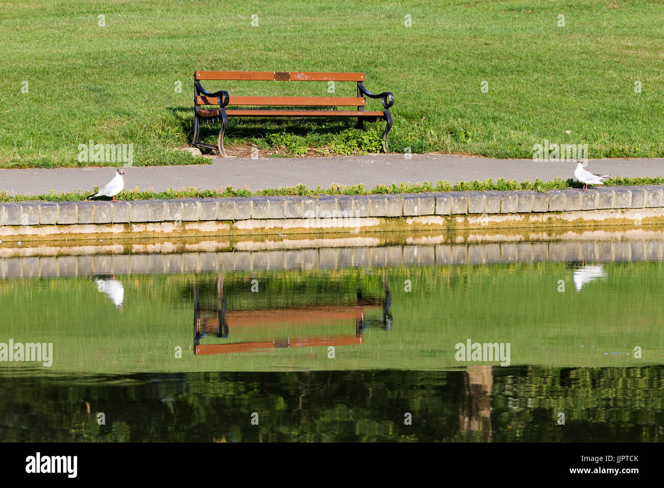Banc par le lac de plaisance, Abington, Northampton Banque D'Images