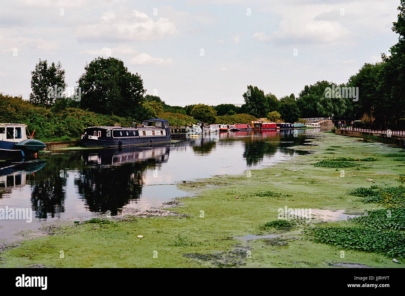 La rivière Lea au Upper Clapton, sur les marais de Walthamstow, North East London UK Banque D'Images