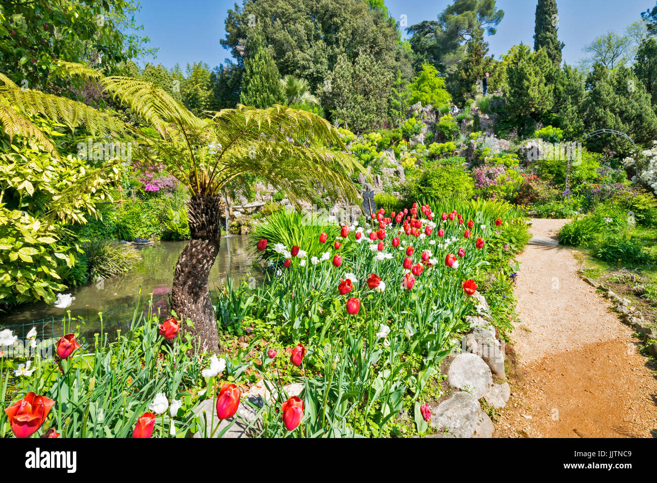Lac de Garde ITALIE GARDONE LE JARDIN FLEURS TULIPES HELLER ET UNE fougère arborescente Banque D'Images