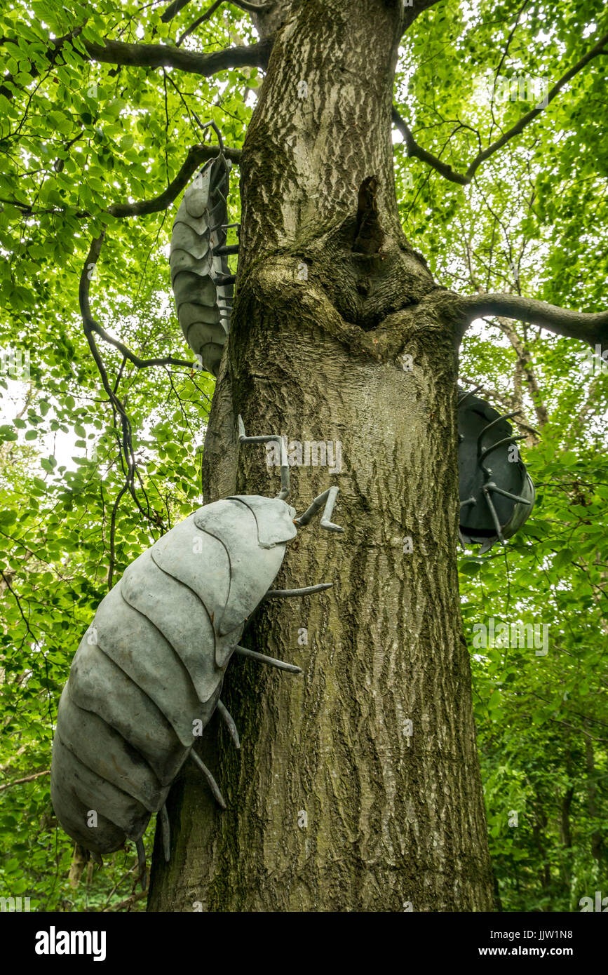 Bois sculpture ou cloportes pou sur parcours de l'arbre en bois, Butterdean sentier Woodland Trust, East Lothian, Scotland, UK Banque D'Images