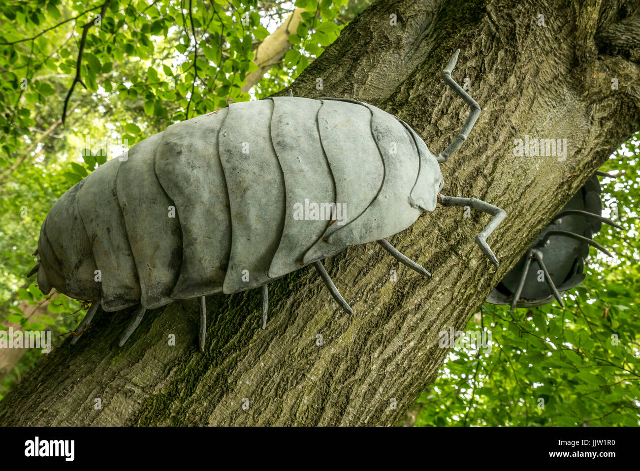 Bois sculpture ou cloportes pou sur parcours de l'arbre en bois, Butterdean sentier Woodland Trust, East Lothian, Scotland, UK Banque D'Images