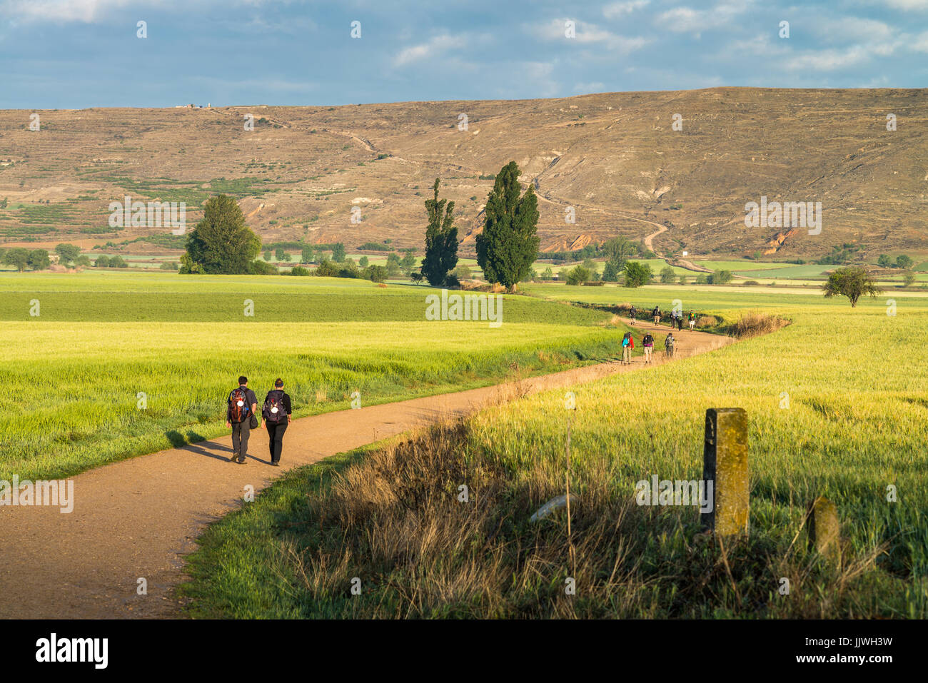 Les pèlerins à pied dans le paysage 'meseta', une longue section de plateau. Chemin de Compostelle. L'Espagne, l'Europe. Banque D'Images