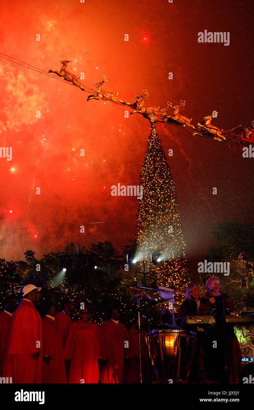 Feux d'artifice, derrière l'arbre de Noël annuel arbre de vacances éclairage extravagance concert Grove Los Angeles. Banque D'Images