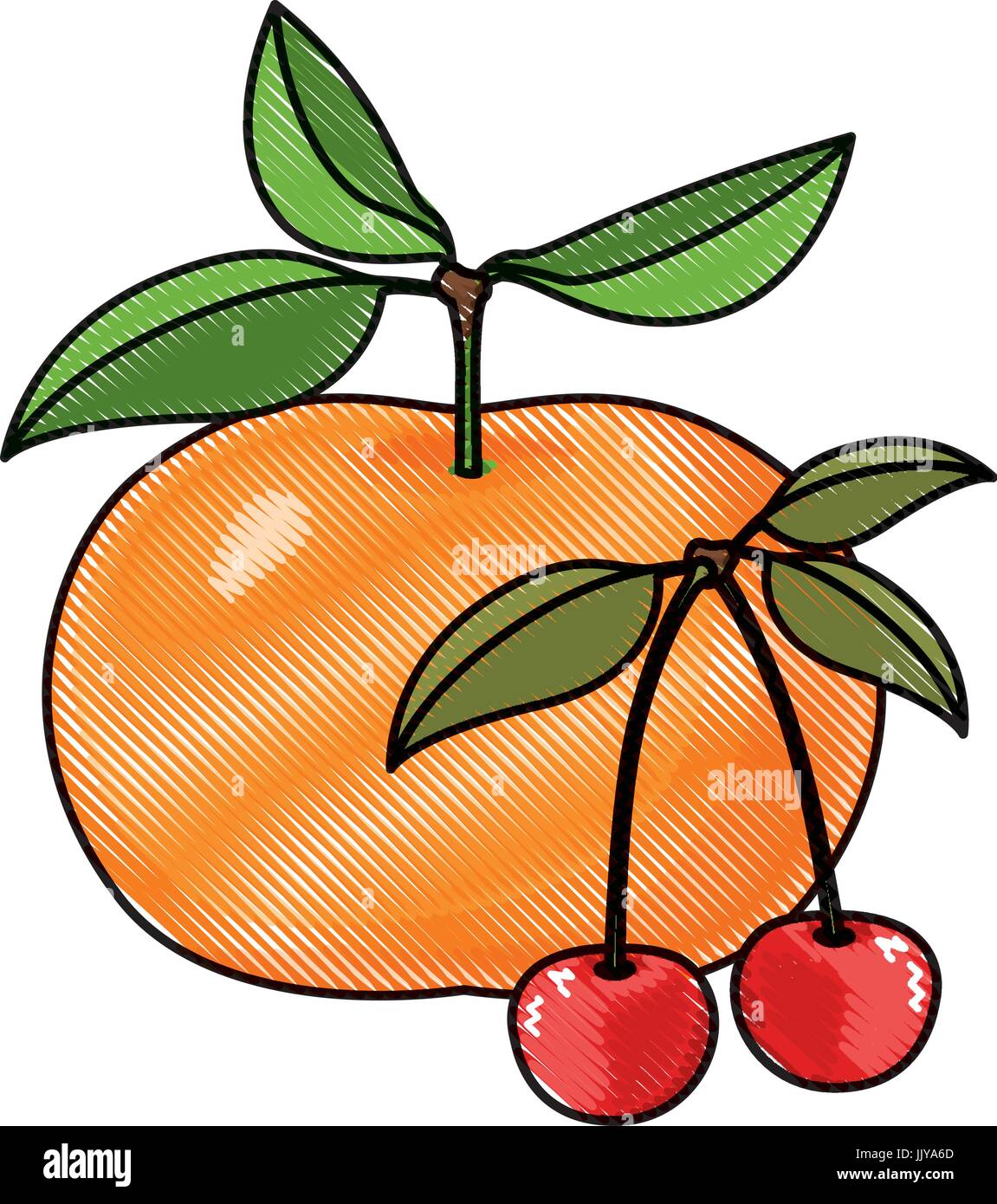 Crayon de couleur d'ossature ensemble de la mandarine et de cerises fruits Illustration de Vecteur