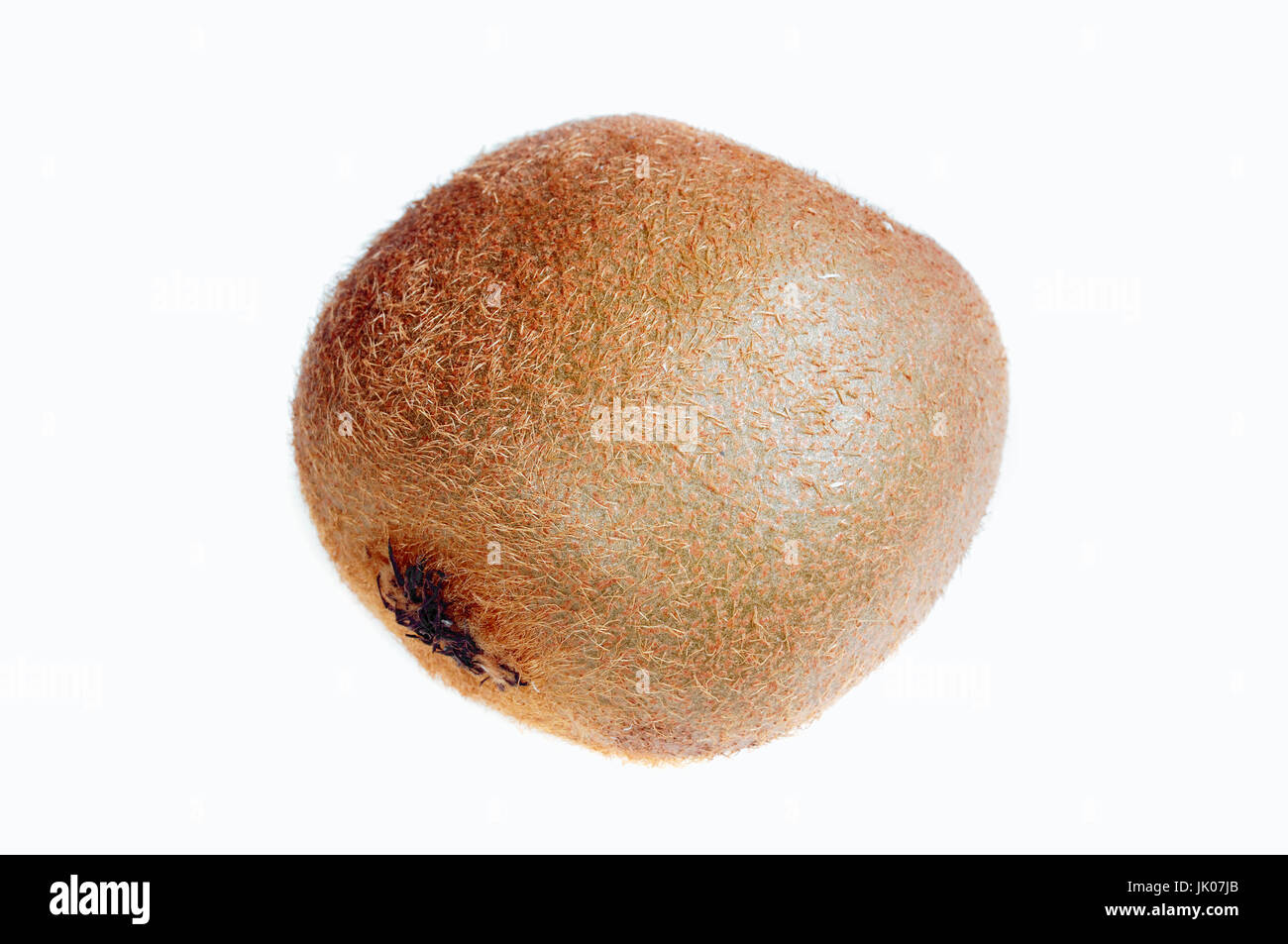 Chinese Gooseberry / (Actinidia chinensis, Actinidia deliciosa) | Kiwifrucht / (Actinidia chinensis, Actinidia deliciosa) / Kiwi Banque D'Images