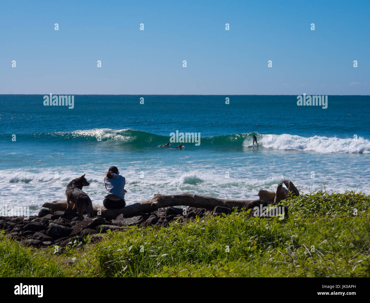 Femme et de chien et de détente assis sur une grosse branche Journal par la mer regardant un surfeur Banque D'Images