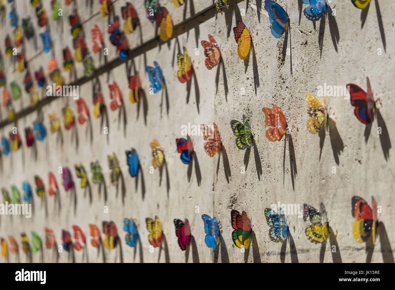 Ensemble de papillons colorés. Installation Art Banque D'Images