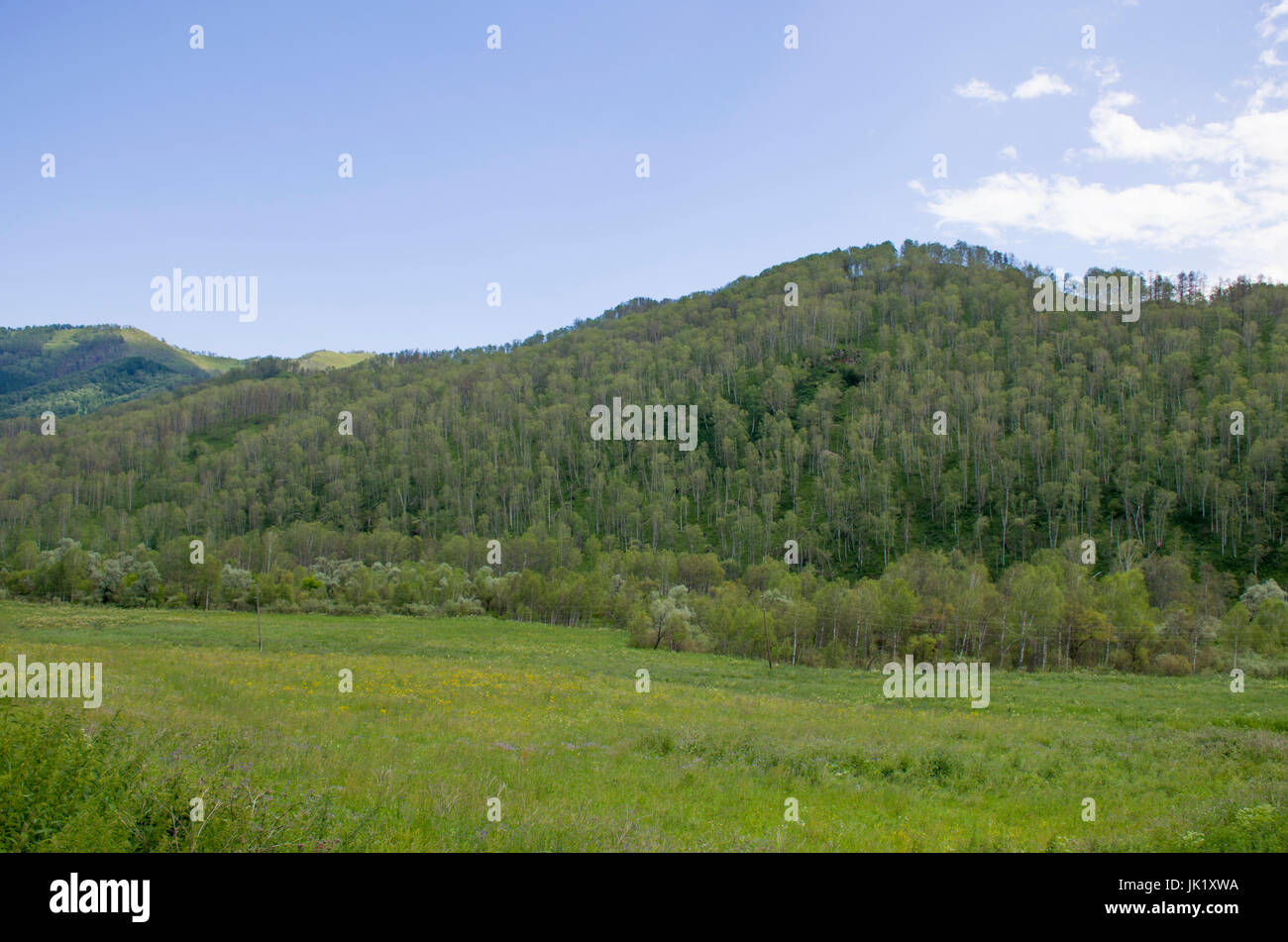 Beau paysage de la nature montagne russe de l'Altaï Banque D'Images