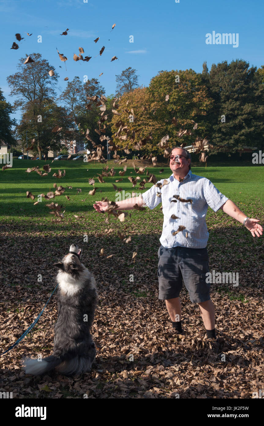 L'homme de jeter les feuilles d'automne séchées à l'air avec son chien border collie bleu merle de sauter jusqu'à les attraper Banque D'Images