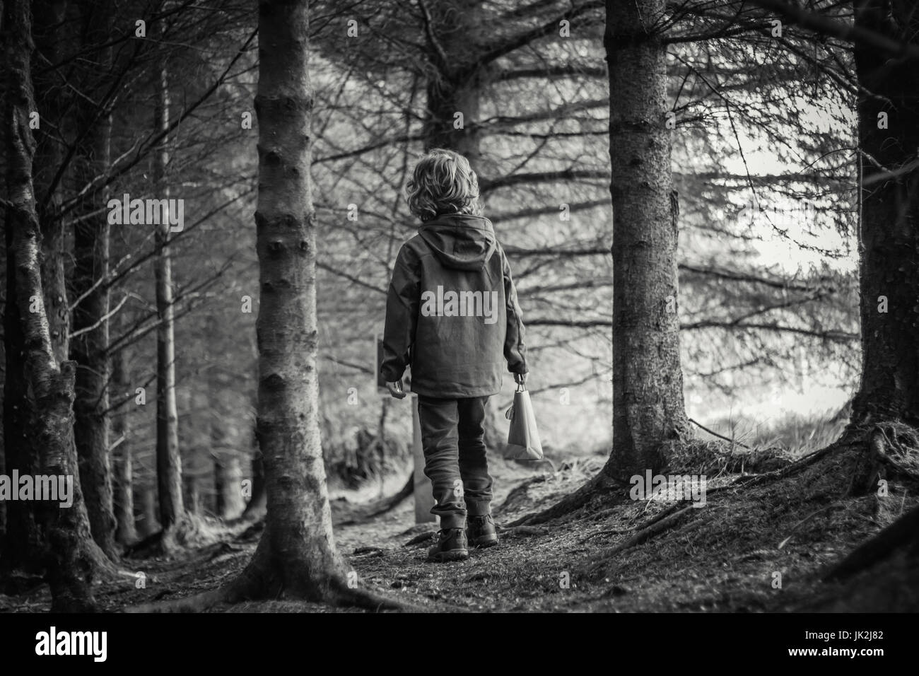 Photo en noir et blanc de la vue arrière d'un jeune garçon avec des cheveux bouclés d'explorer dans une forêt/bois Banque D'Images