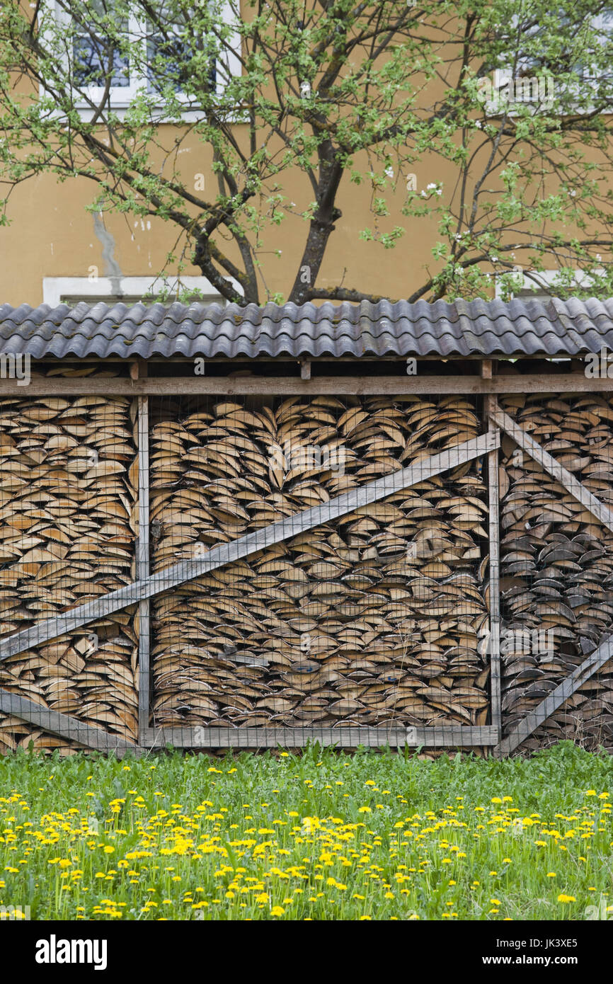 L'Estonie, le sud-est de l'Estonie, Voru, bois de sciage Banque D'Images