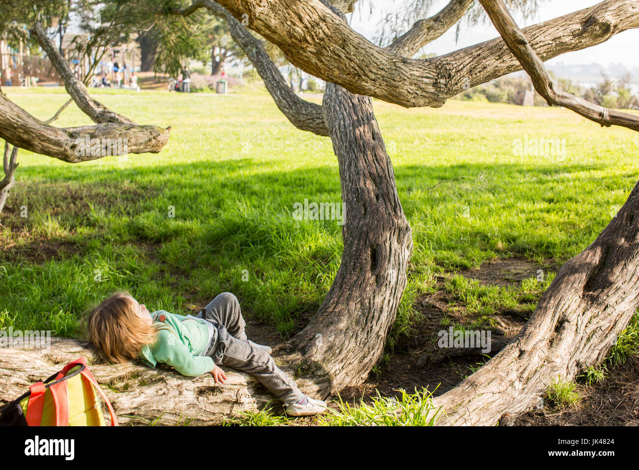 Caucasian girl laying on tree branch Banque D'Images