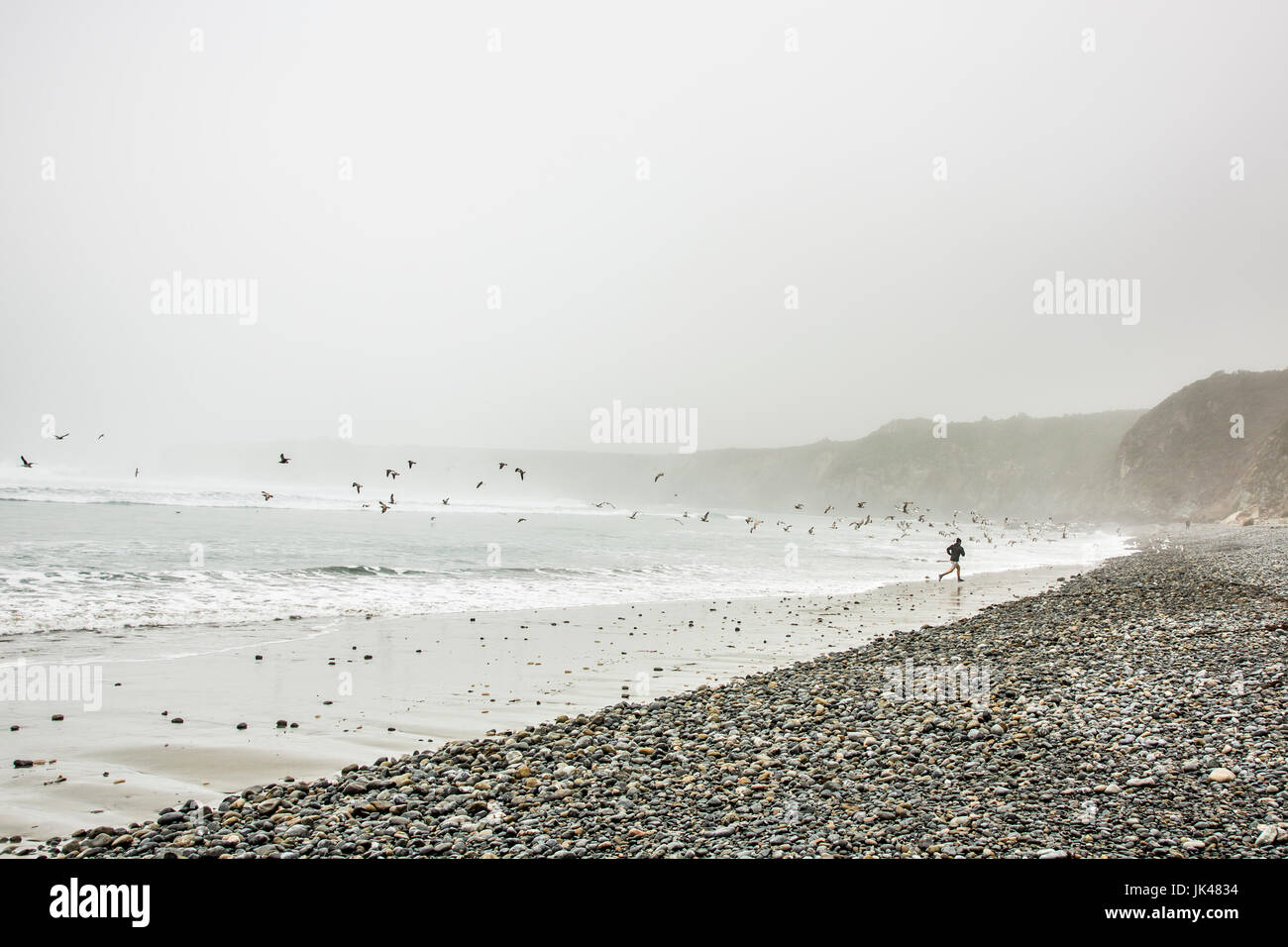 Caucasian man running on lointain océan plage près de birds Banque D'Images