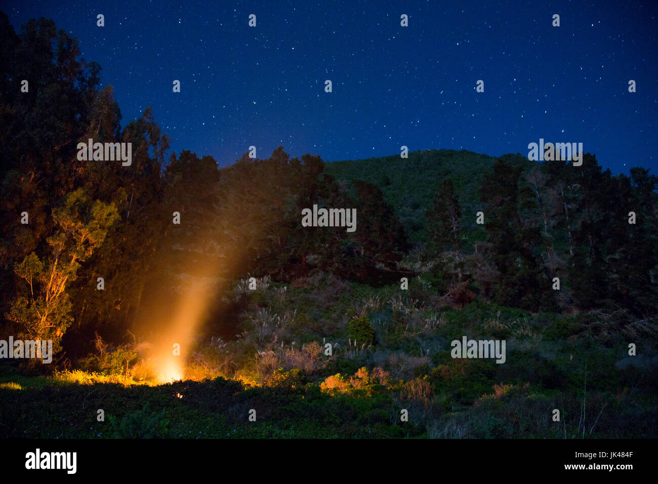 Camp de nuit sous un ciel étoilé Banque D'Images