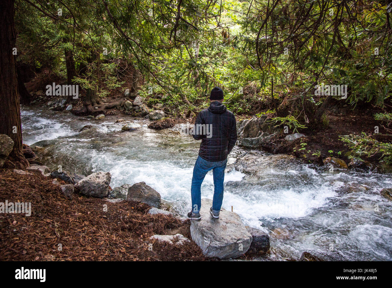 Caucasian man standing on rock, près de ruisseau dans woods Banque D'Images