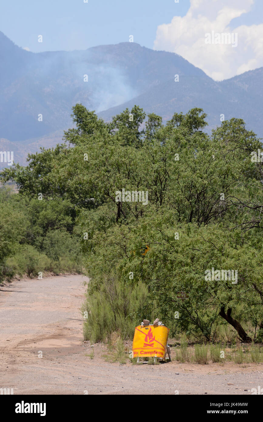 Un incendie de forêt causé par la foudre est surveillé dans les premiers stades par les responsables forestiers nationaux de Coronado dans les montagnes Santa Rita, Arizona, États-Unis. Banque D'Images