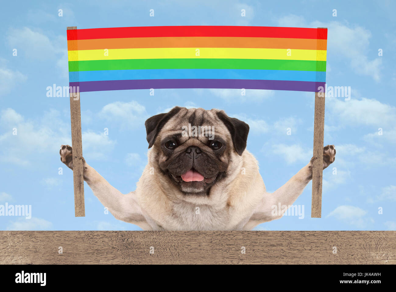 Happy smiling pug chien chiot avec bannière arc-en-ciel coloré signe sur fond de ciel bleu Banque D'Images