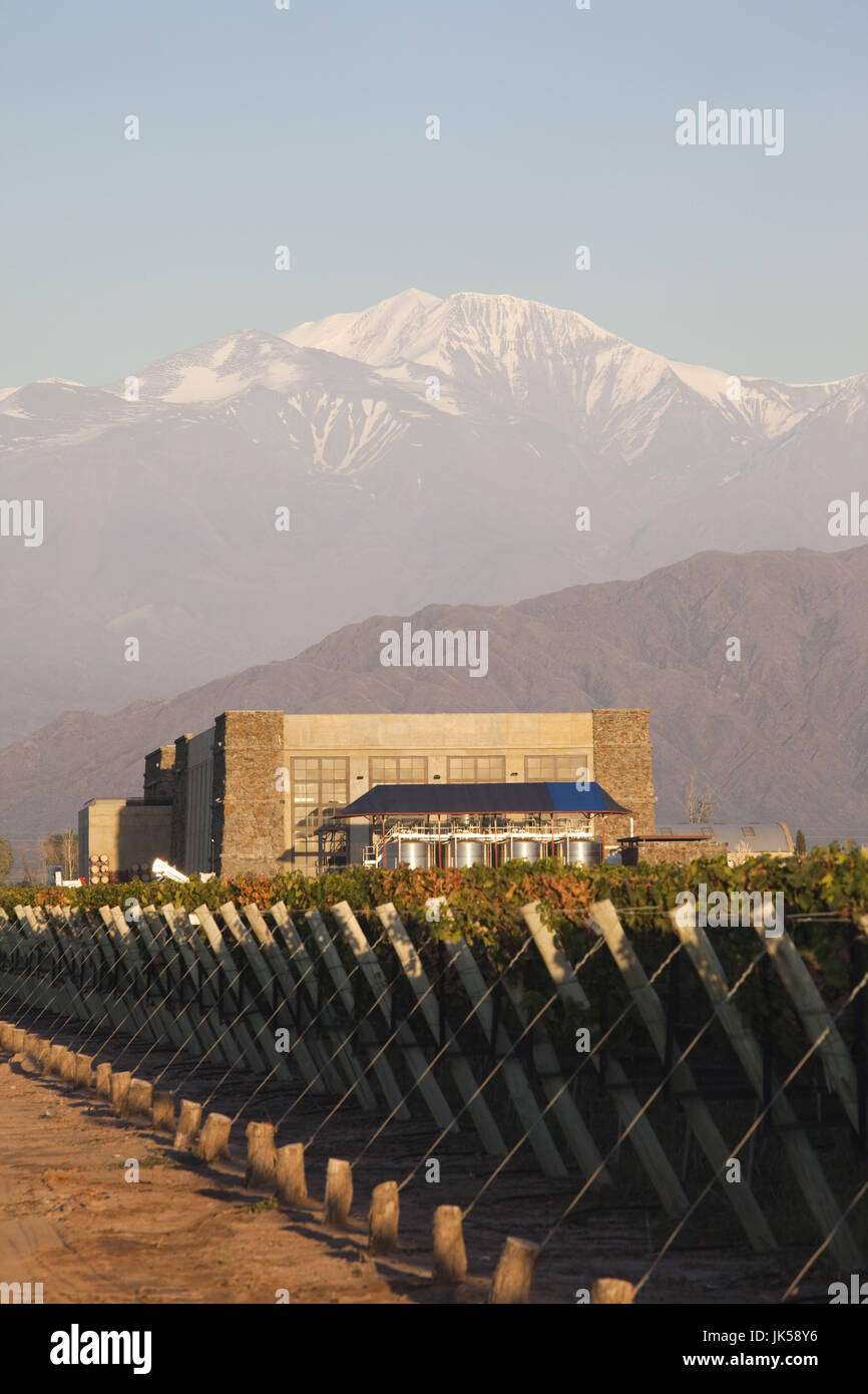 L'Argentine, la Province de Mendoza, Lujan de Cuyo, Bodega Septima winery et montagnes des Andes, l'aube Banque D'Images