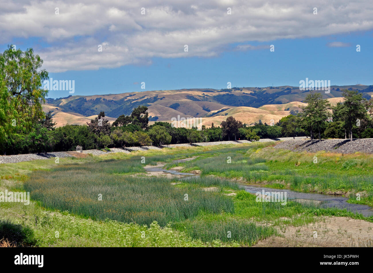 Alameda Creek, sentier régional, la baie East hills, U Union City, CA USA Banque D'Images