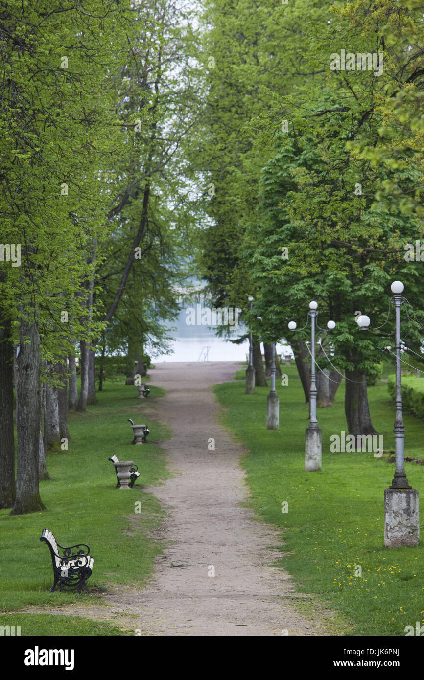L'Estonie, le sud-est de l'Estonie, Voru, Kateriina allee, chemin bordé d'arbres Banque D'Images