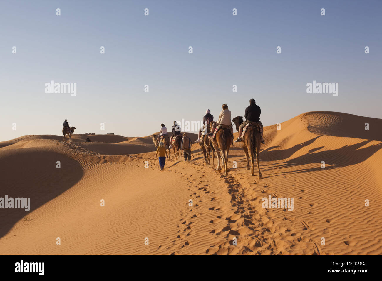 La Tunisie, Ksour, Ksar Ghilane, Grand Erg Oriental Désert, caravane de chameaux Banque D'Images